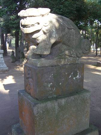 菊田神社の狛犬_d0065324_9353123.jpg