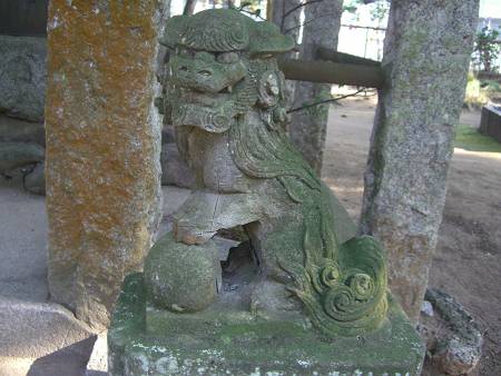 菊田神社の狛犬_d0065324_9432333.jpg