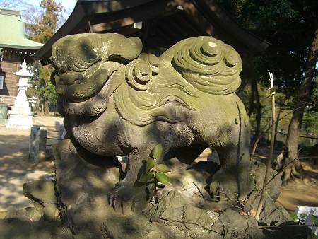 菊田神社の狛犬_d0065324_9471455.jpg