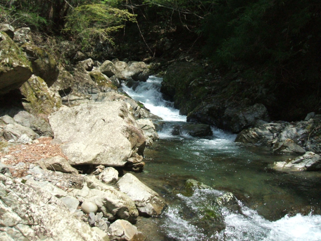 またまた山岳地帯　　どすぇ♪_c0106630_23272896.jpg