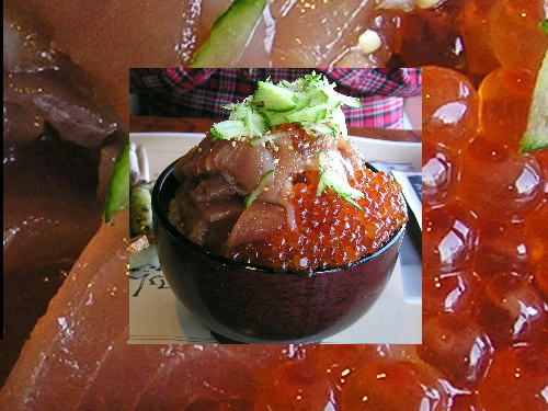 d0082735_55282.jpg