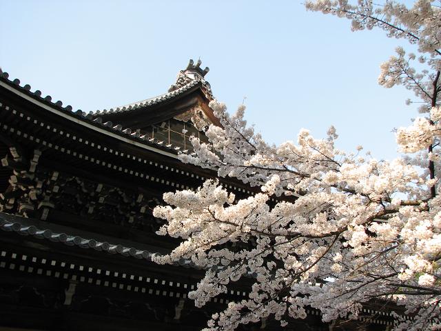 そうだ京都にいこう　Ⅲ　＜南禅寺＞_f0099535_1722142.jpg