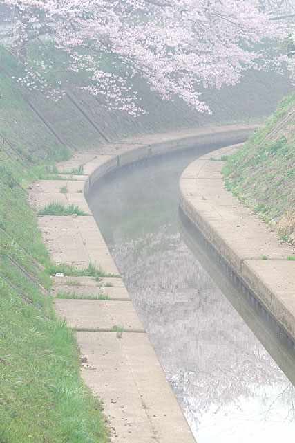 c0067040_2382381.jpg