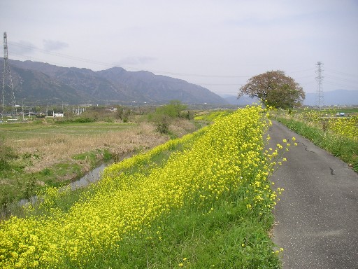 b0088444_23315386.jpg