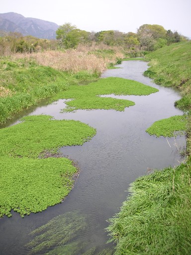 b0088444_23334480.jpg