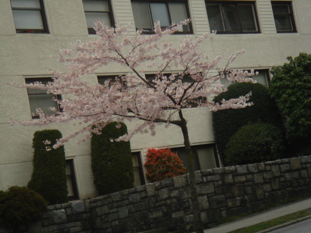 f0147746_95787.jpg