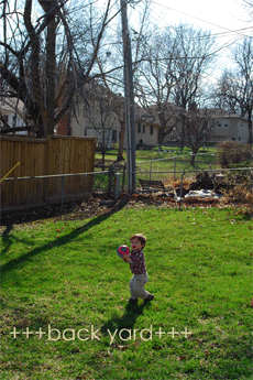 e0113948_1534319.gif