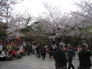 春は旅立ちの季節_c0049950_844132.jpg