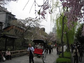 春は旅立ちの季節_c0049950_8455419.jpg