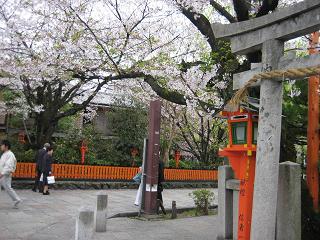 春は旅立ちの季節_c0049950_8463852.jpg