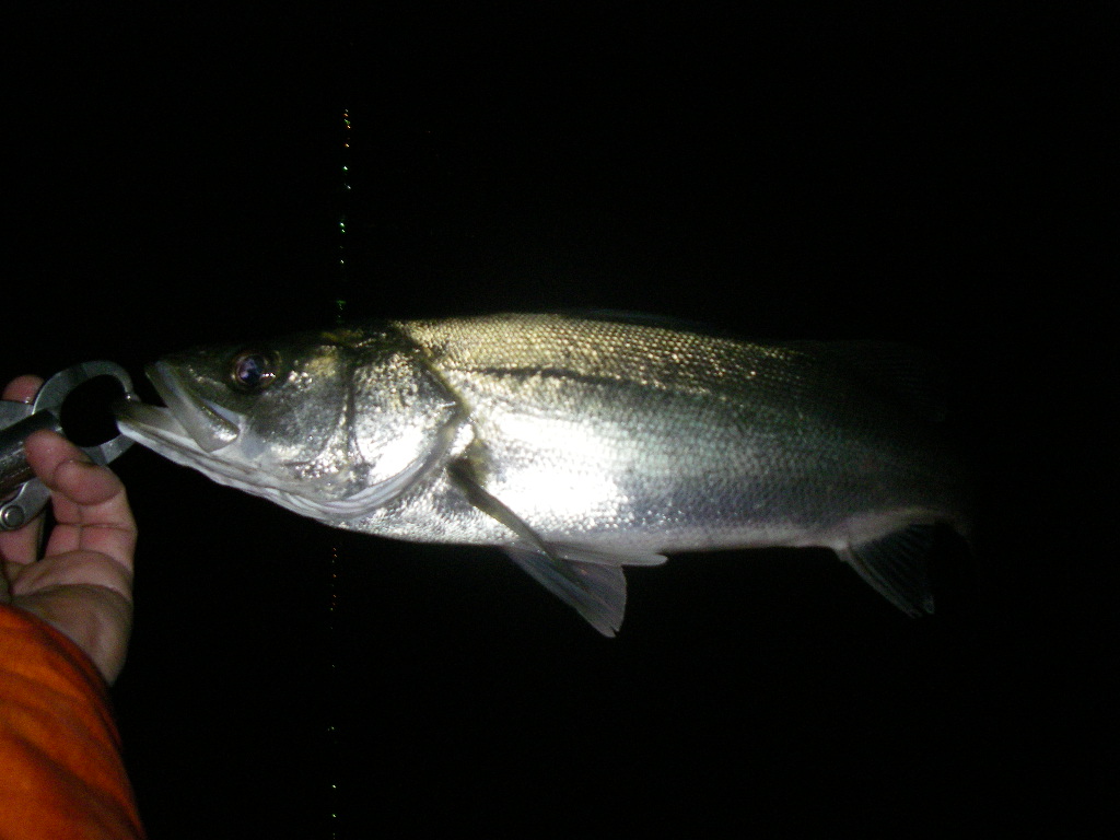c0153951_13184363.jpg
