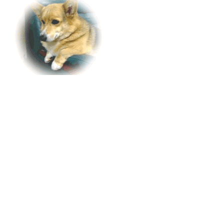 c0009855_18524181.gif