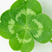 c0119160_13581636.gif