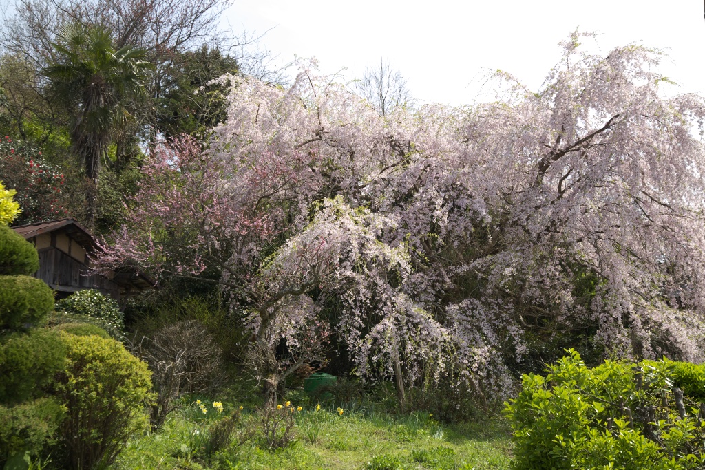 c0108863_234354.jpg