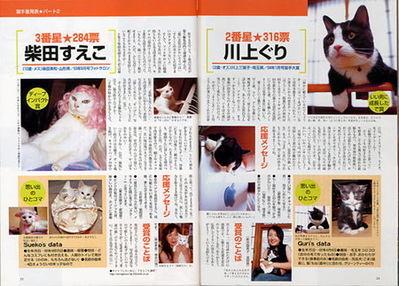 雑誌「猫の手帖」休刊_a0064067_054735.jpg