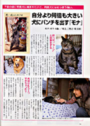 雑誌「猫の手帖」休刊_a0064067_0584855.jpg