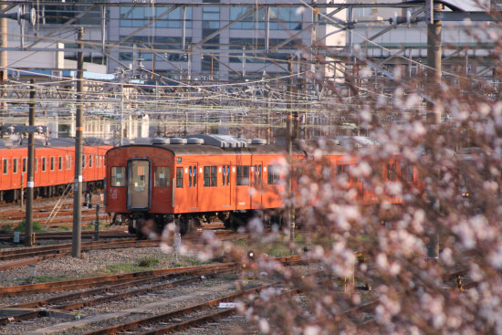 岡山・関西の旅～2008年3月28日～ _e0057275_2052516.jpg