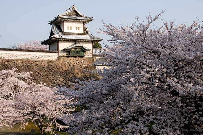08.4.12「金沢城の桜」_c0085877_7461573.jpg