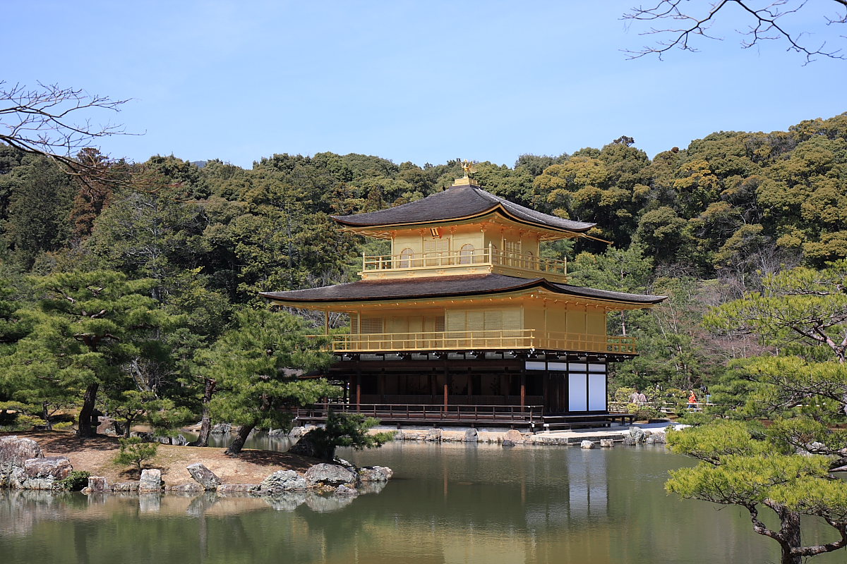 京都　金閣寺_b0136781_015488.jpg