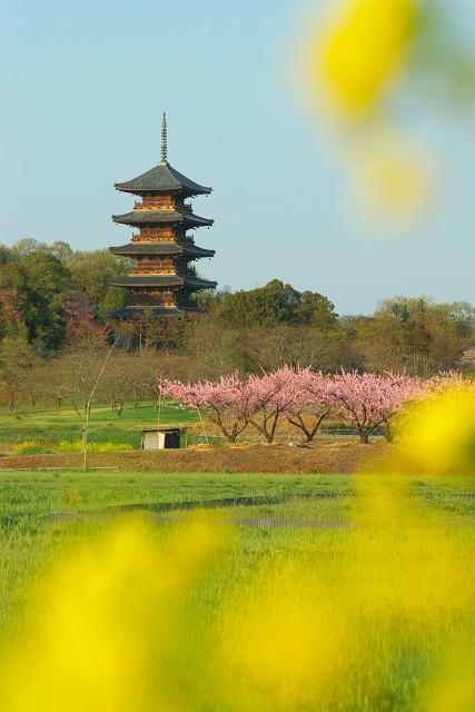 花盛り♪_c0135381_2029272.jpg