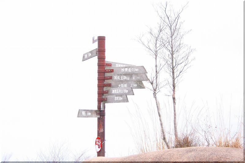 e0024081_21402570.jpg