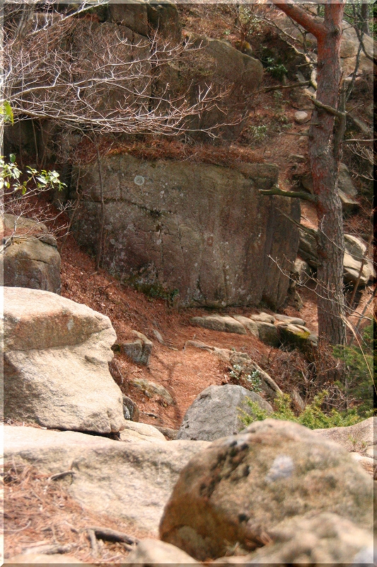e0024081_21405437.jpg