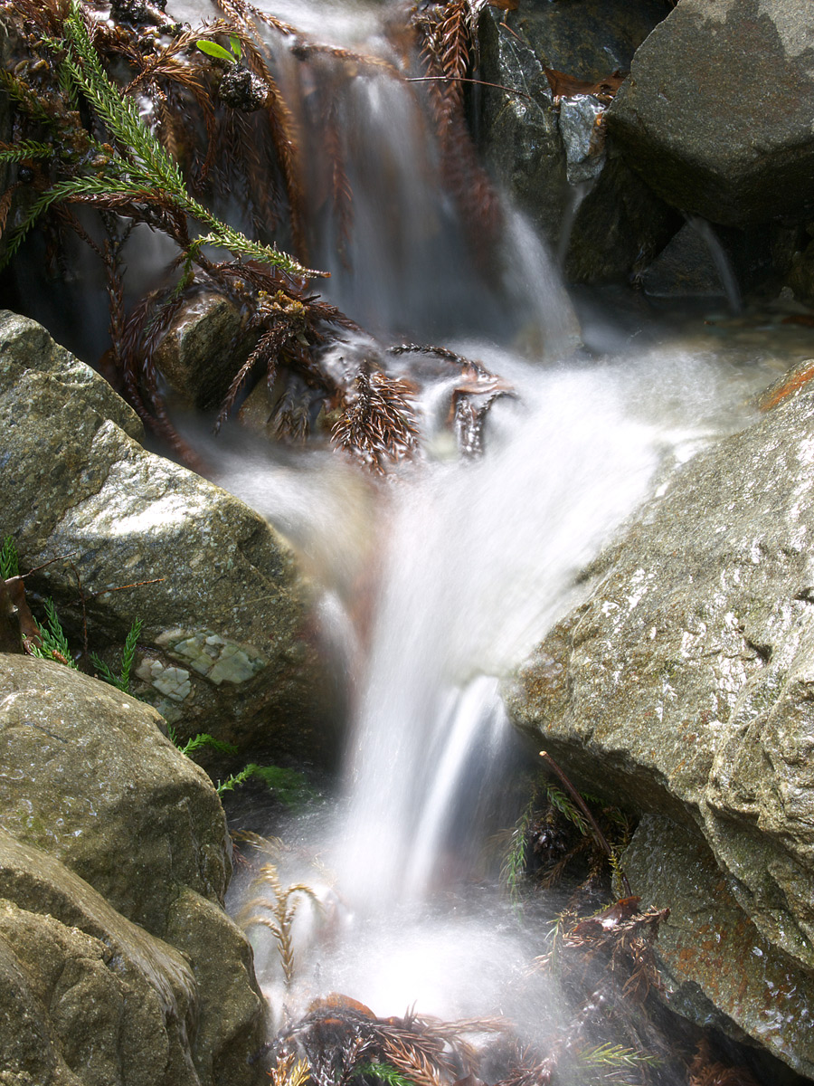 f0121181_2138657.jpg