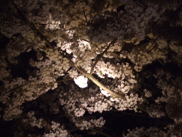 b0125384_032160.jpg