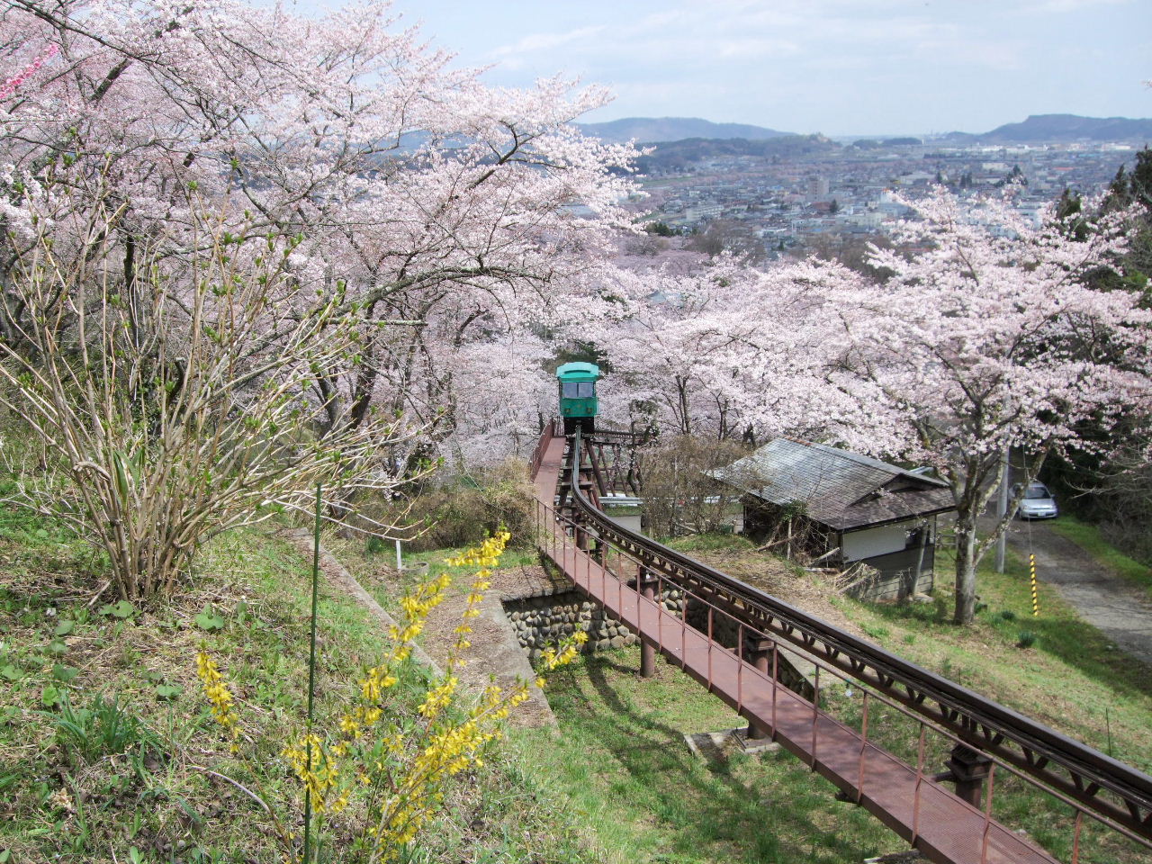 真作/岡田紫郊/岩上観音図/布袋屋掛軸HE-275 真作/岡田紫郊/岩上観音図/布袋屋掛軸HE-275