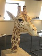 八幡　満さんの個展（動物陶展）見てきました　　　　＜陶園＞_d0138203_13381137.jpg