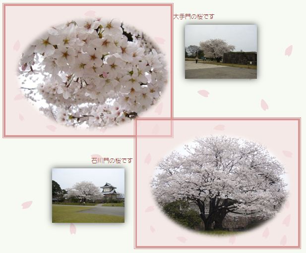 金沢から戻りました。_c0051105_14121511.jpg