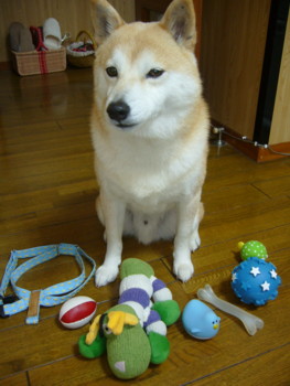 e0131506_22582732.jpg