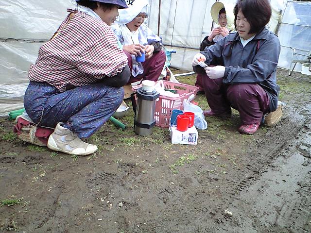 d0099708_1724754.jpg