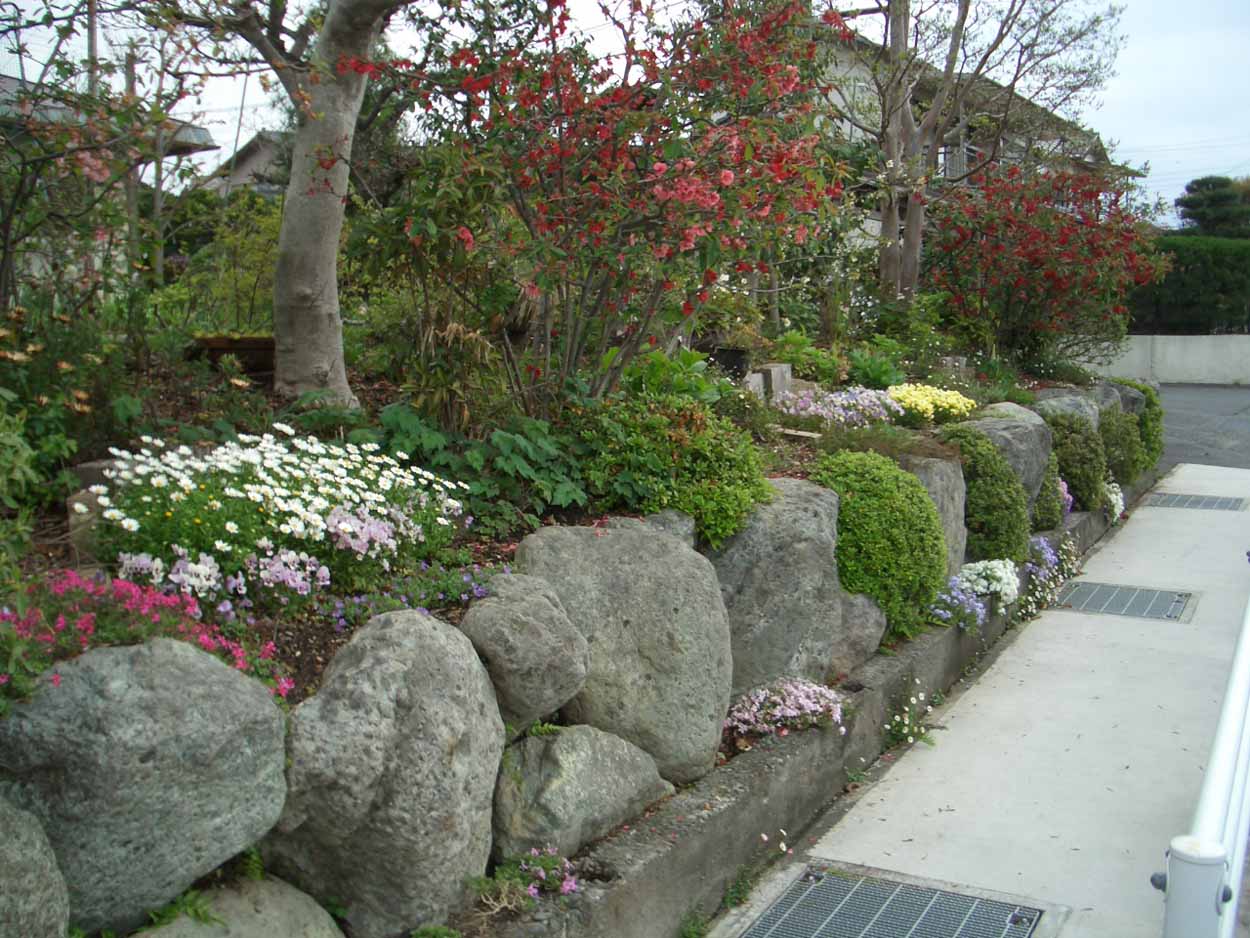 一万歩 丘 ふる里コース_f0141310_23501771.jpg