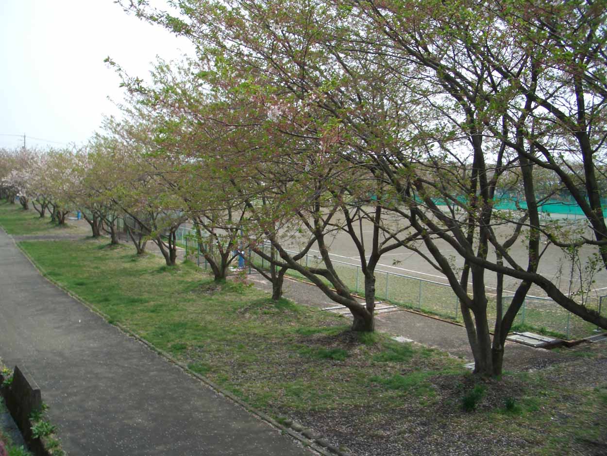 一万歩 丘 ふる里コース_f0141310_23522243.jpg