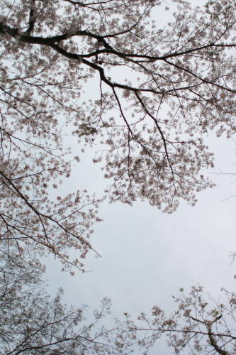 f0119416_0401377.jpg