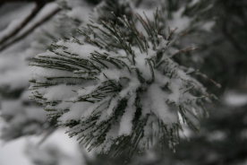 b0132924_2204281.jpg