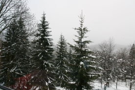 b0132924_2211424.jpg