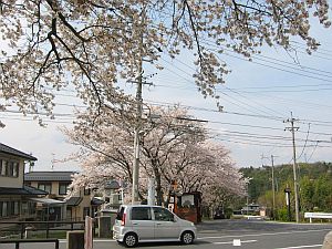 富士重工を語る前に_f0076731_1412445.jpg