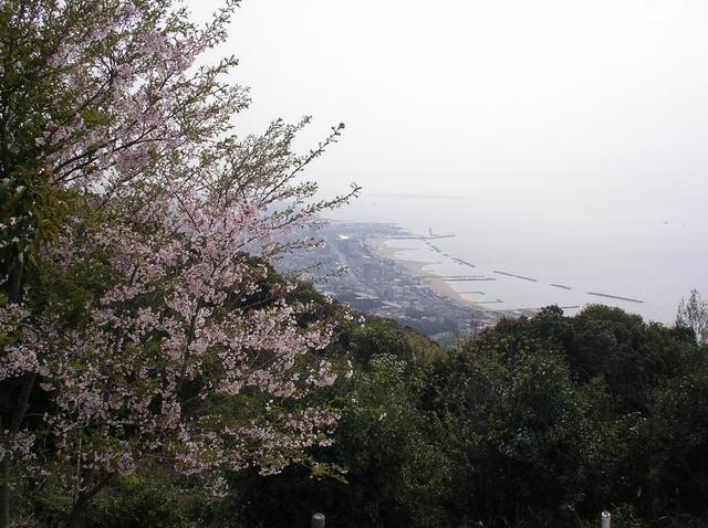 c0029332_231182.jpg