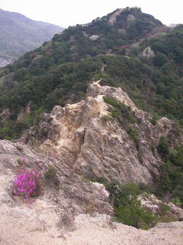 c0029332_2312838.jpg