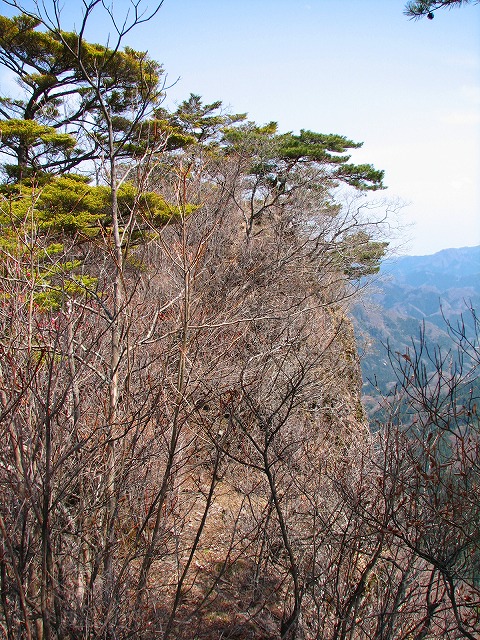 ４月１２日（土） 黒瀧山（五老峰～幕岩）♪_b0097836_11453430.jpg