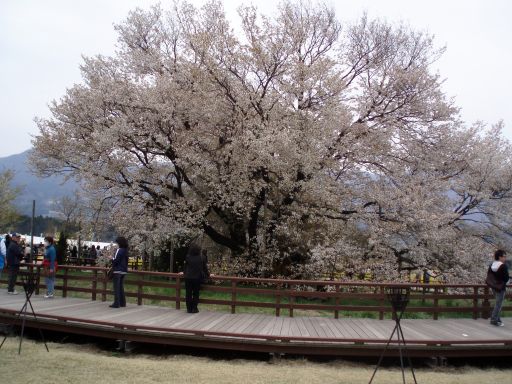 e0097536_23555551.jpg