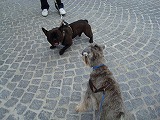 c0153740_382674.jpg
