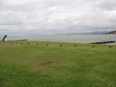 二つの美術館を訪ねて　（一）　島根県立美術館_e0110940_22453684.jpg