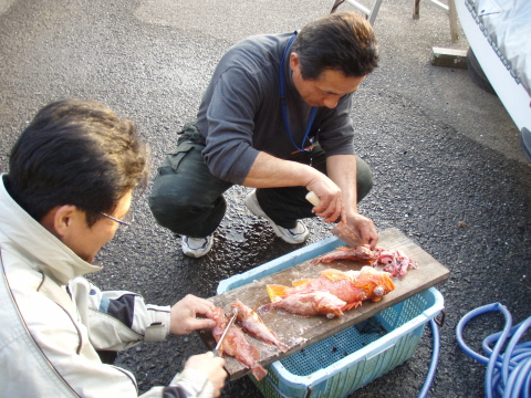 なかよし6人組_a0077071_17125389.jpg