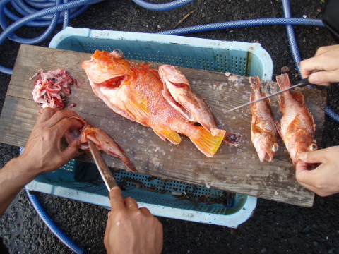 なかよし6人組_a0077071_17134336.jpg