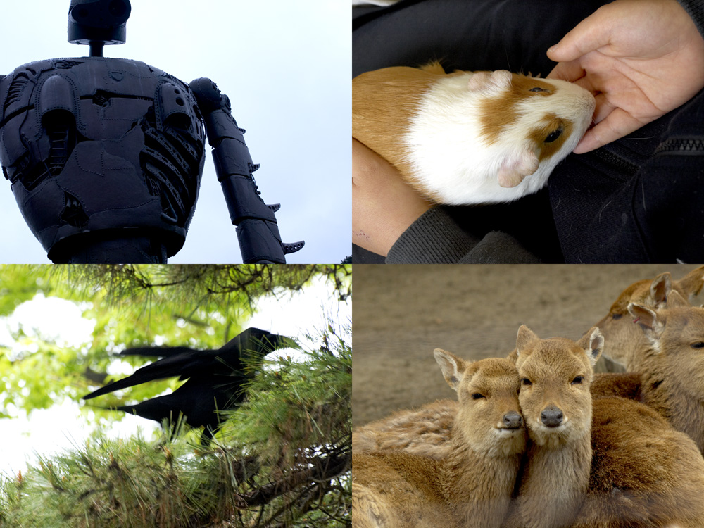 三鷹の森ジブリ美術館に行ってきました_a0002672_23345497.jpg