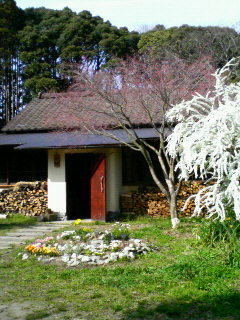田舎暮らし1_b0034072_9124980.jpg