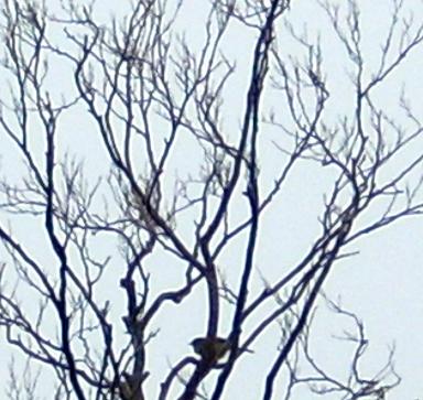 c0153173_2105968.jpg